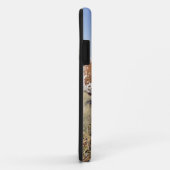 Texas Longhorn Breed (foto) Case-Mate iPhone Case (Achterkant/rechts)