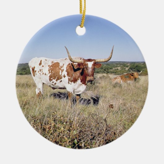Texas Longhorn Breed (foto) Keramisch Ornament (Voorkant)