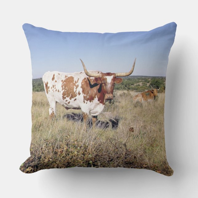 Texas Longhorn Breed (foto) Kussen (Voorkant)