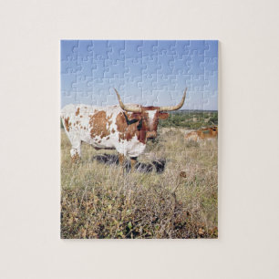 Texas Longhorn Breed (foto) Legpuzzel