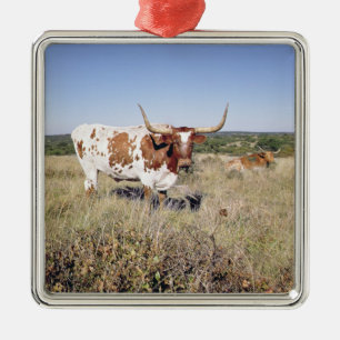 Texas Longhorn Breed (foto) Metalen Ornament