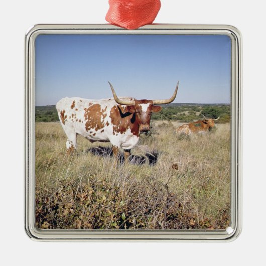 Texas Longhorn Breed (foto) Metalen Ornament (Voorkant)
