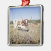 Texas Longhorn Breed (foto) Metalen Ornament (Links)