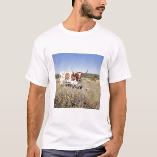 Texas Longhorn Breed (foto) T-shirt