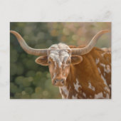 Texas Longhorn Briefkaart (Voorkant)
