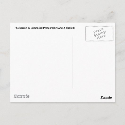 Texas Longhorn Briefkaart (Achterkant)