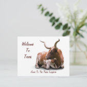 Texas Longhorn Briefkaart (Staand voorkant)