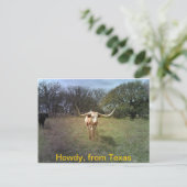 Texas Longhorn - Briefkaart (Staand voorkant)
