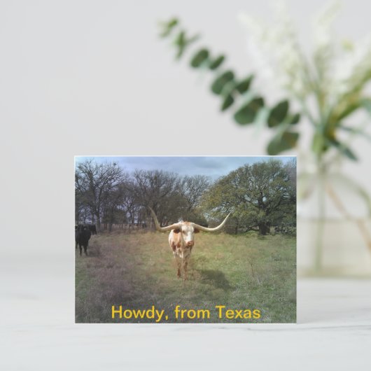 Texas Longhorn - Briefkaart (Staand voorkant)