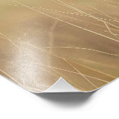 Texas Longhorn Bull Foto Afdruk (Hoek)