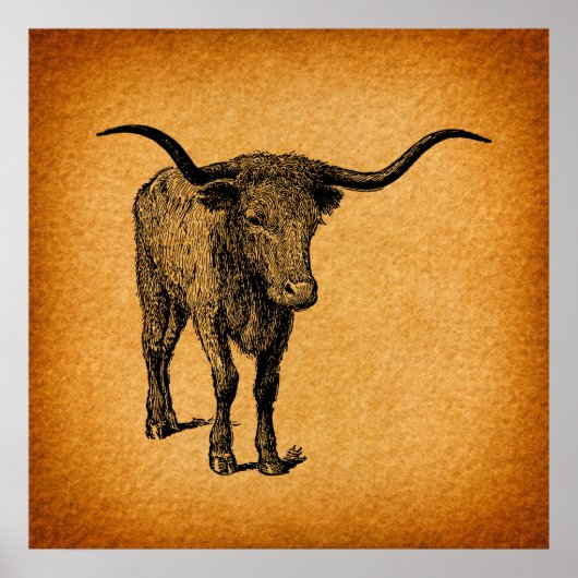 Texas Longhorn Bull Rustic  Westerne Kunst Poster (Voorkant)