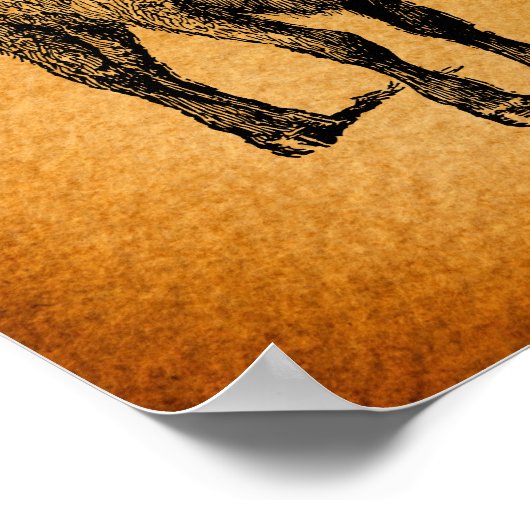 Texas Longhorn Bull Rustic Westerne Kunst Poster (Hoek)