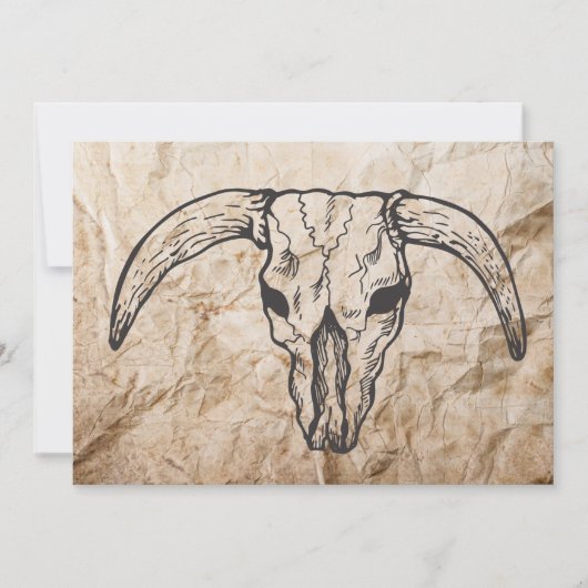 Texas Longhorn Bull Skull (Voorkant)