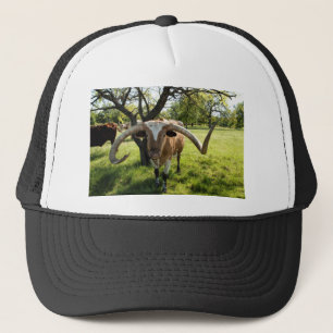 Texas Longhorn Bull Trucker Pet