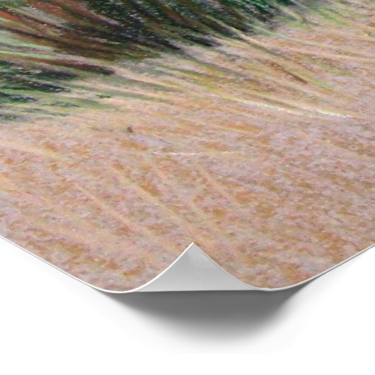 Texas Longhorn Bull Western Art Animal Poster (Hoek)