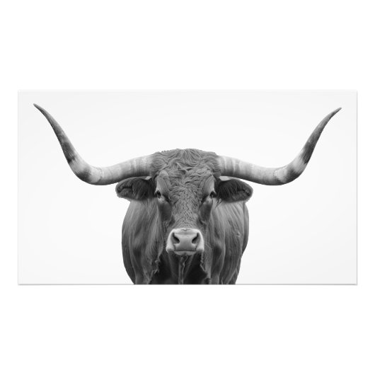 Texas Longhorn Bull Zwart Wit Foto Afdruk (Voorkant)