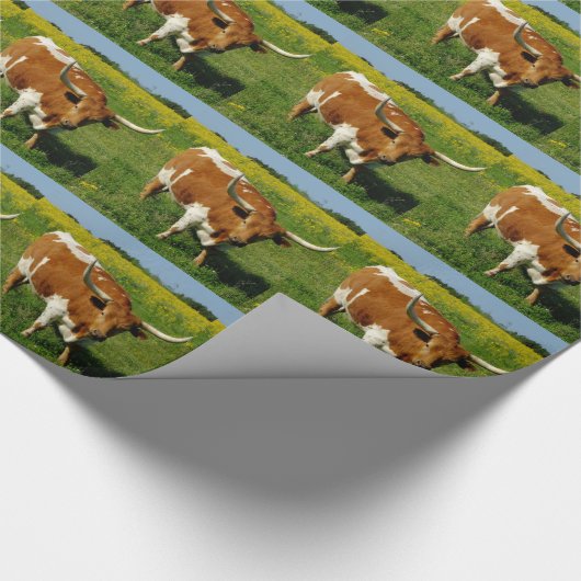 Texas Longhorn Cadeaupapier (Hoek)