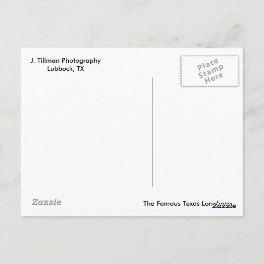 Texas Longhorn Cattle Briefkaart (Achterkant)