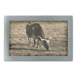 Texas Longhorn Cattle Koe Foto Rustic Gesp