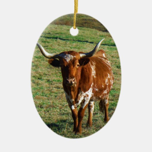 Texas Longhorn Cattle Koe Foto Rustic Keramisch Ornament (Voorkant)