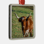 Texas Longhorn Cattle Koe Foto Rustic Metalen Ornament (Rechts)