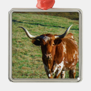 Texas Longhorn Cattle Koe Foto Rustic Metalen Ornament