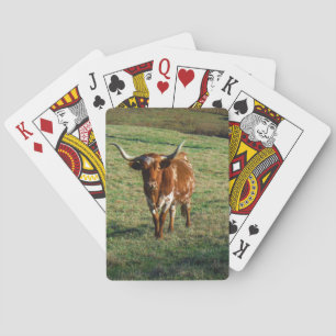 Texas Longhorn Cattle Koe Foto Rustic Speelkaarten