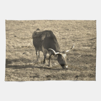 Texas Longhorn Cattle Koe Foto Rustic Theedoek