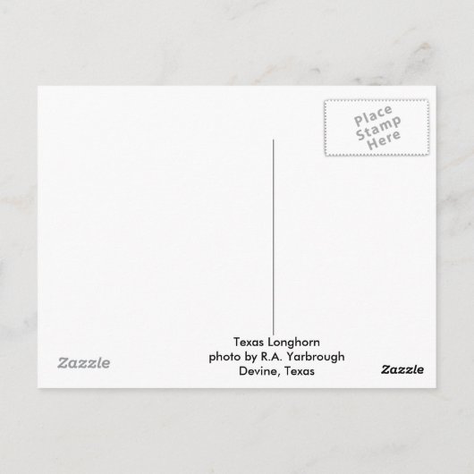 Texas Longhorn Closeup Briefkaart (Achterkant)
