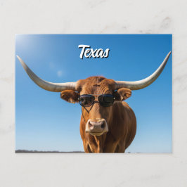 Texas longhorn in een zonnebril briefkaart