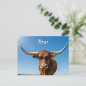 Texas longhorn in een zonnebril briefkaart (Staand voorkant)