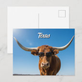 Texas longhorn in een zonnebril briefkaart (Voorkant / Achterkant)