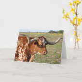 Texas Longhorn Kaart (Gele Bloem)