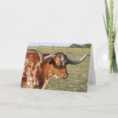 Texas Longhorn Kaart (Voorkant)
