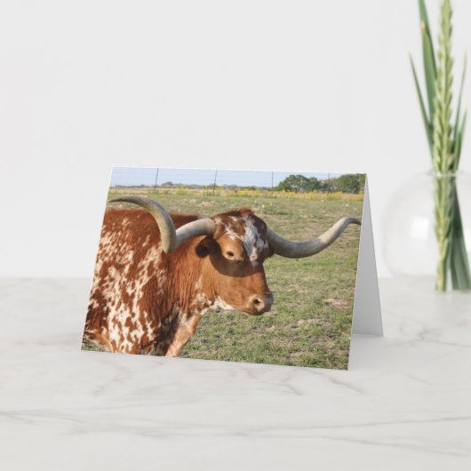 Texas Longhorn Kaart (Voorkant)