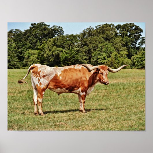 Texas Longhorn Koe Fotografische Art Print (Voorkant)