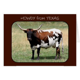 Texas Longhorn Koe Howdy uit Texas