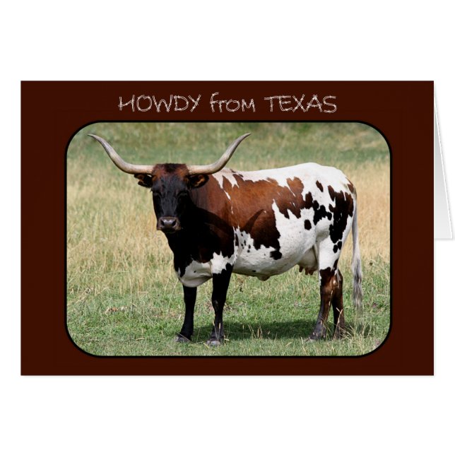 Texas Longhorn Koe Howdy uit Texas (Voorkant Horizontaal)