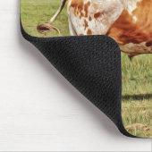 Texas Longhorn Koe Muismatje Muismat (Hoek)