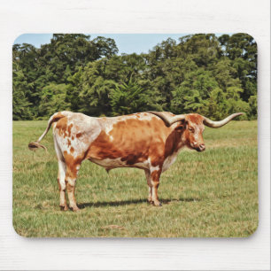 Texas Longhorn Koe Muismatje Muismat
