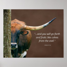 Texas Longhorn Koe Poster - formulering