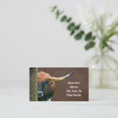Texas Longhorn Koe Visitekaartjes (Staand voorkant)