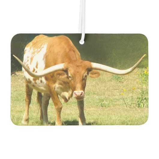 Texas Longhorn Luchtverfrisser (Achterkant)