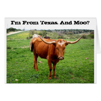 Texas Longhorn met Funny Texas Gezegde