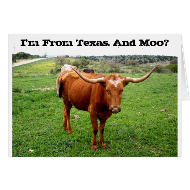 Texas Longhorn met Funny Texas Gezegde (Voorkant Horizontaal)