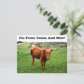 Texas Longhorn met Funny Texas Gezegde Briefkaart (Staand voorkant)