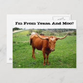 Texas Longhorn met Funny Texas Gezegde Briefkaart (Voorkant / Achterkant)