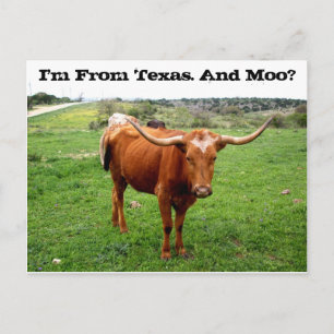 Texas Longhorn met Funny Texas Gezegde Briefkaart