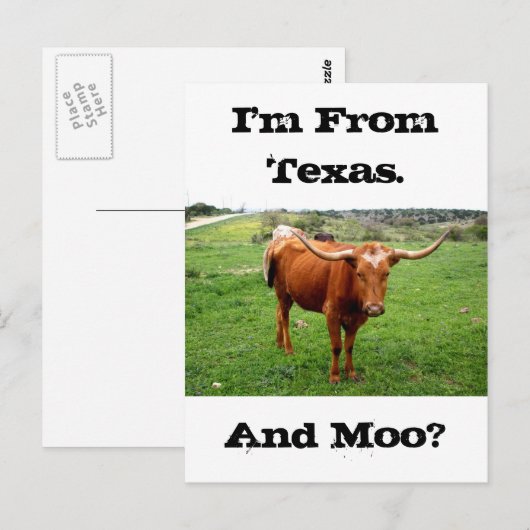 Texas Longhorn met het Grappige Gezegde van Texas Briefkaart (Voorkant / Achterkant)