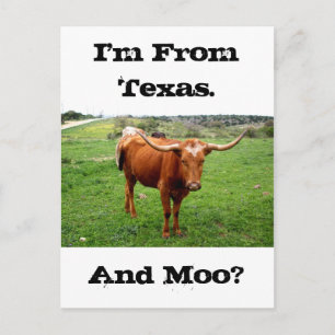 Texas Longhorn met het Grappige Gezegde van Texas Briefkaart